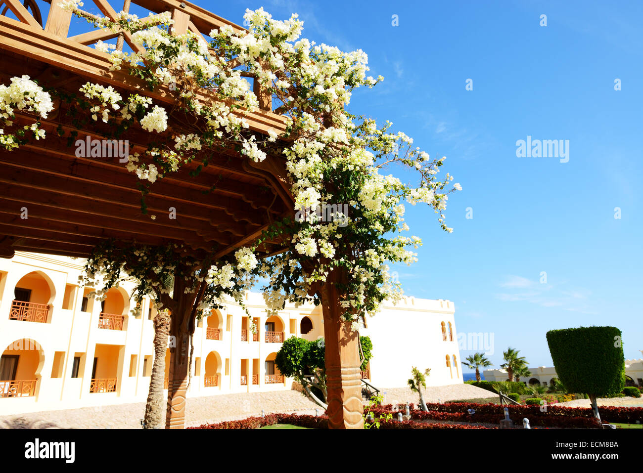 Die Blumen-Dekoration im Luxushotel, Sharm el Sheikh, Ägypten Stockfoto
