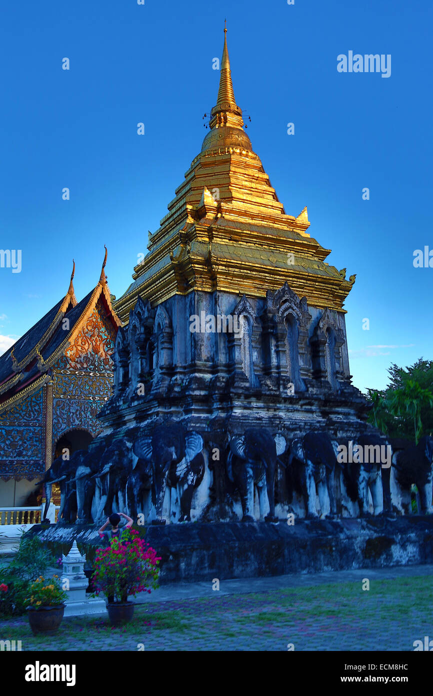 Gold gekrönt Elefant Chedi im Wat Chiang Man Tempel bei Sonnenuntergang in Chiang Mai, Thailand Stockfoto