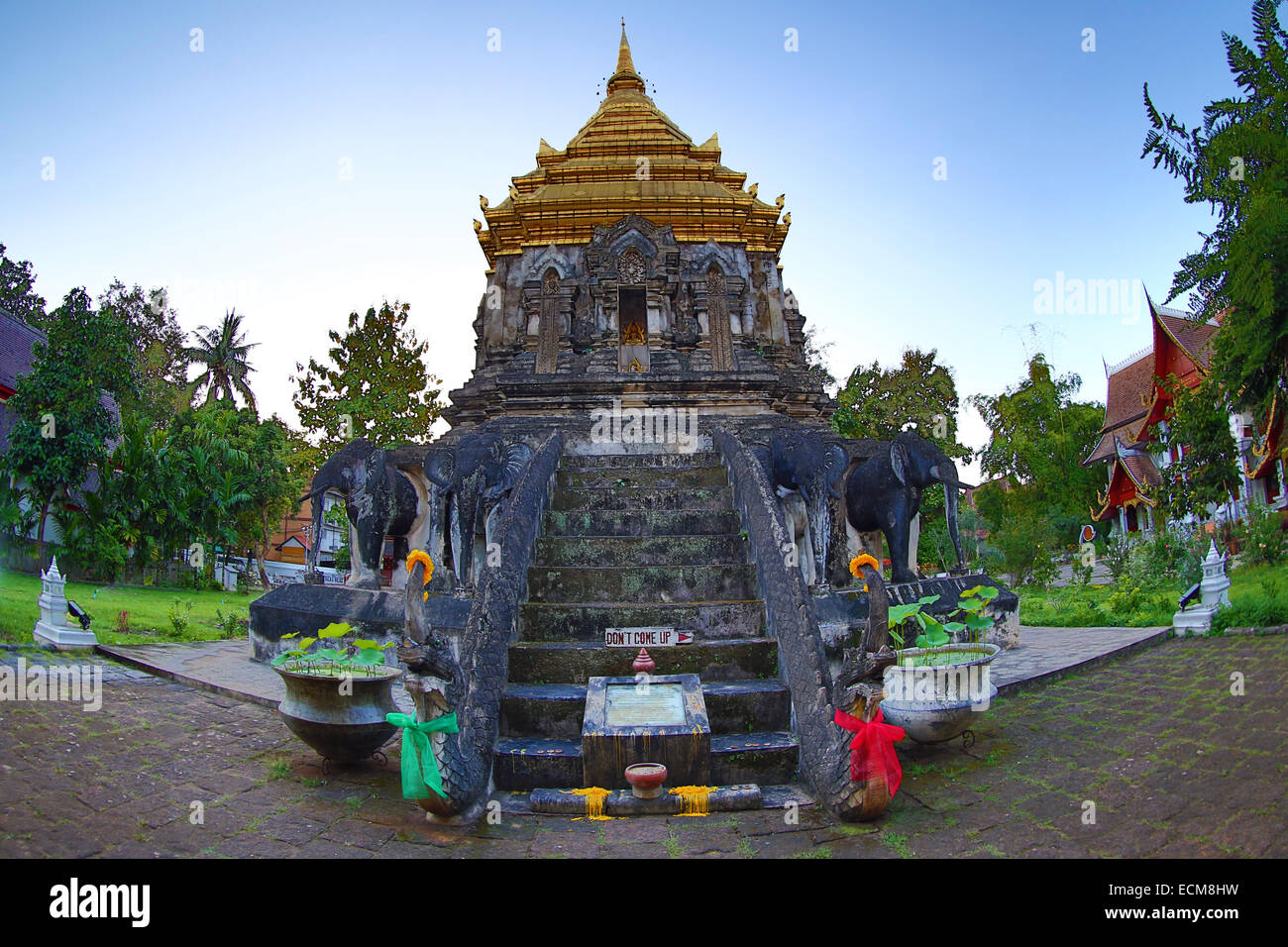 Gold gekrönt Elefant Chedi im Wat Chiang Man Tempel bei Sonnenuntergang in Chiang Mai, Thailand Stockfoto