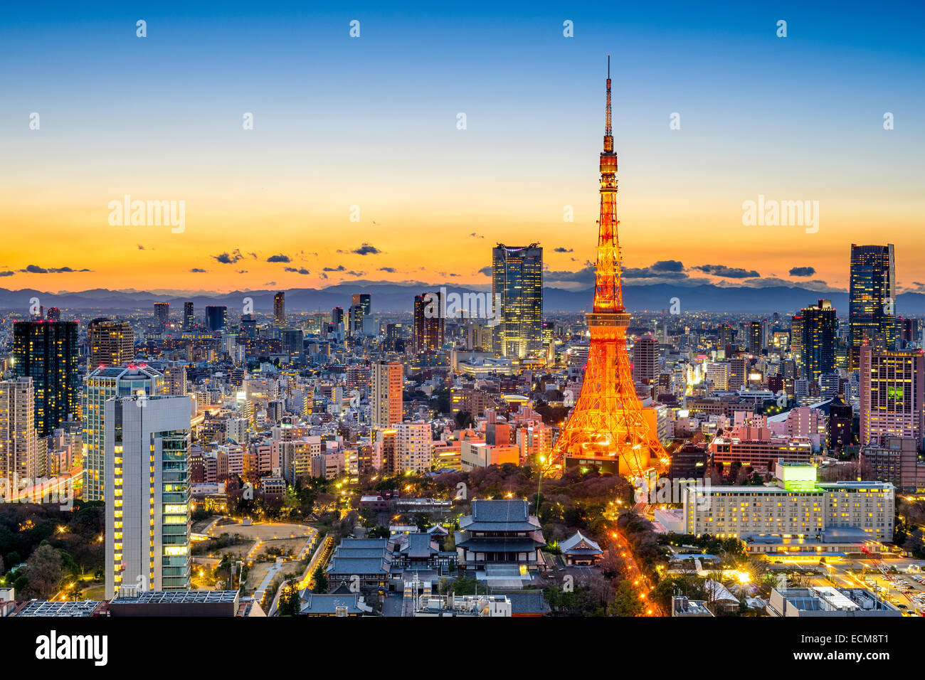 Skyline von Tokyo, Japan bei Tokyo Tower. Stockfoto