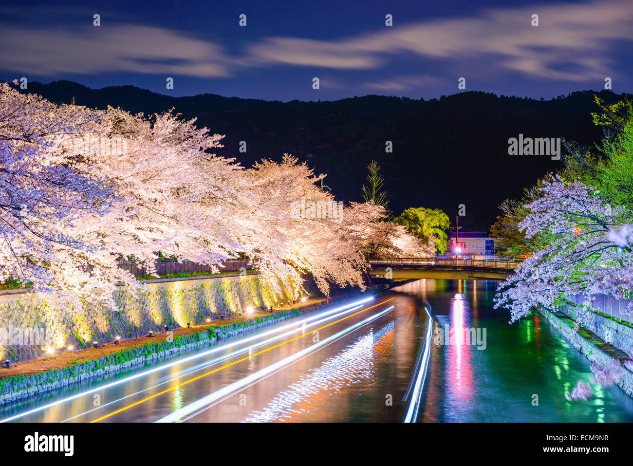 Kyoto, Japan am Okazaki-Kanal während der Kirschblüte Frühjahrssaison. Stockfoto