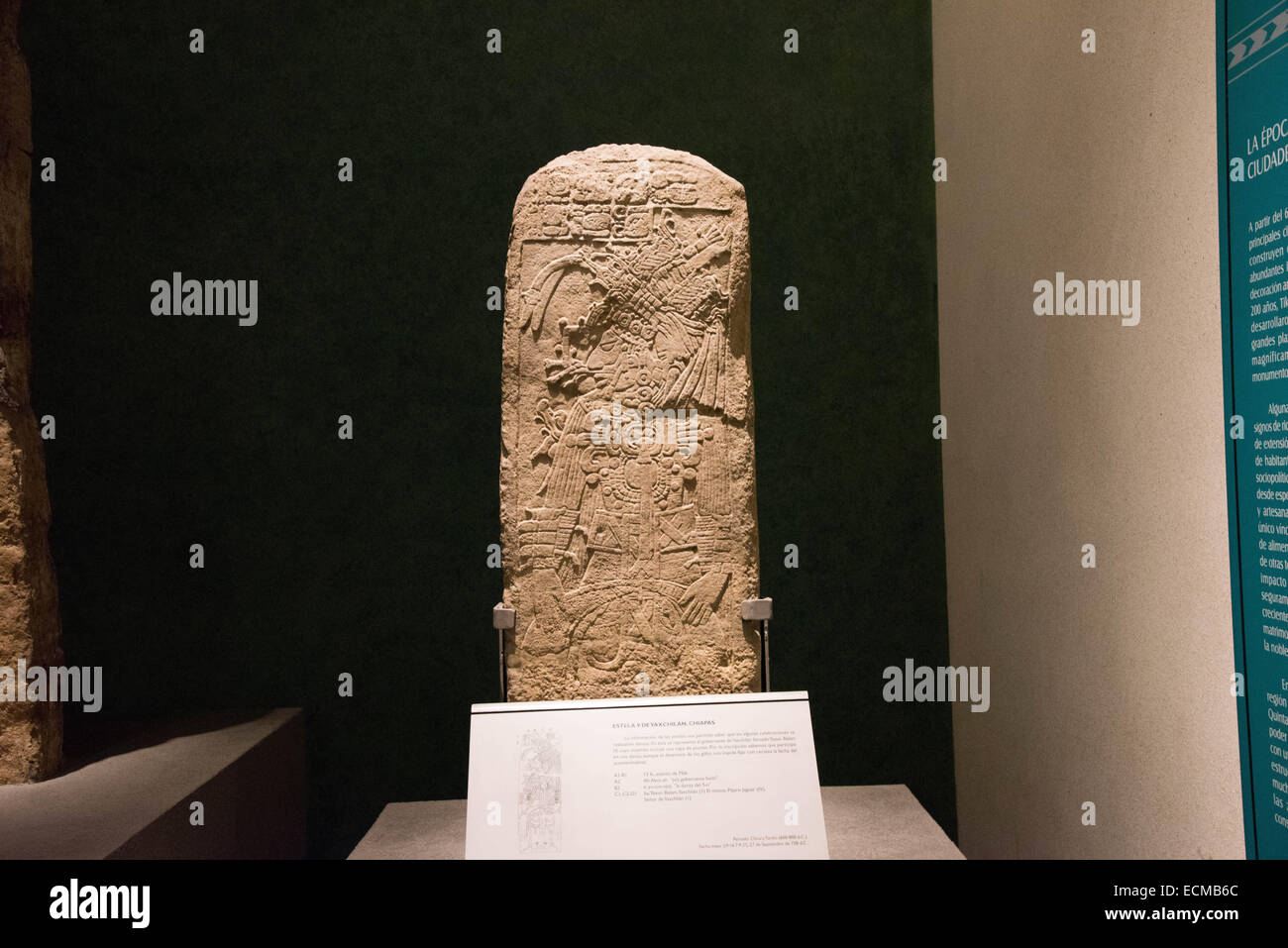 Das nationale Museum für Anthropologie, Mexiko-Stadt, Mexiko Stockfoto