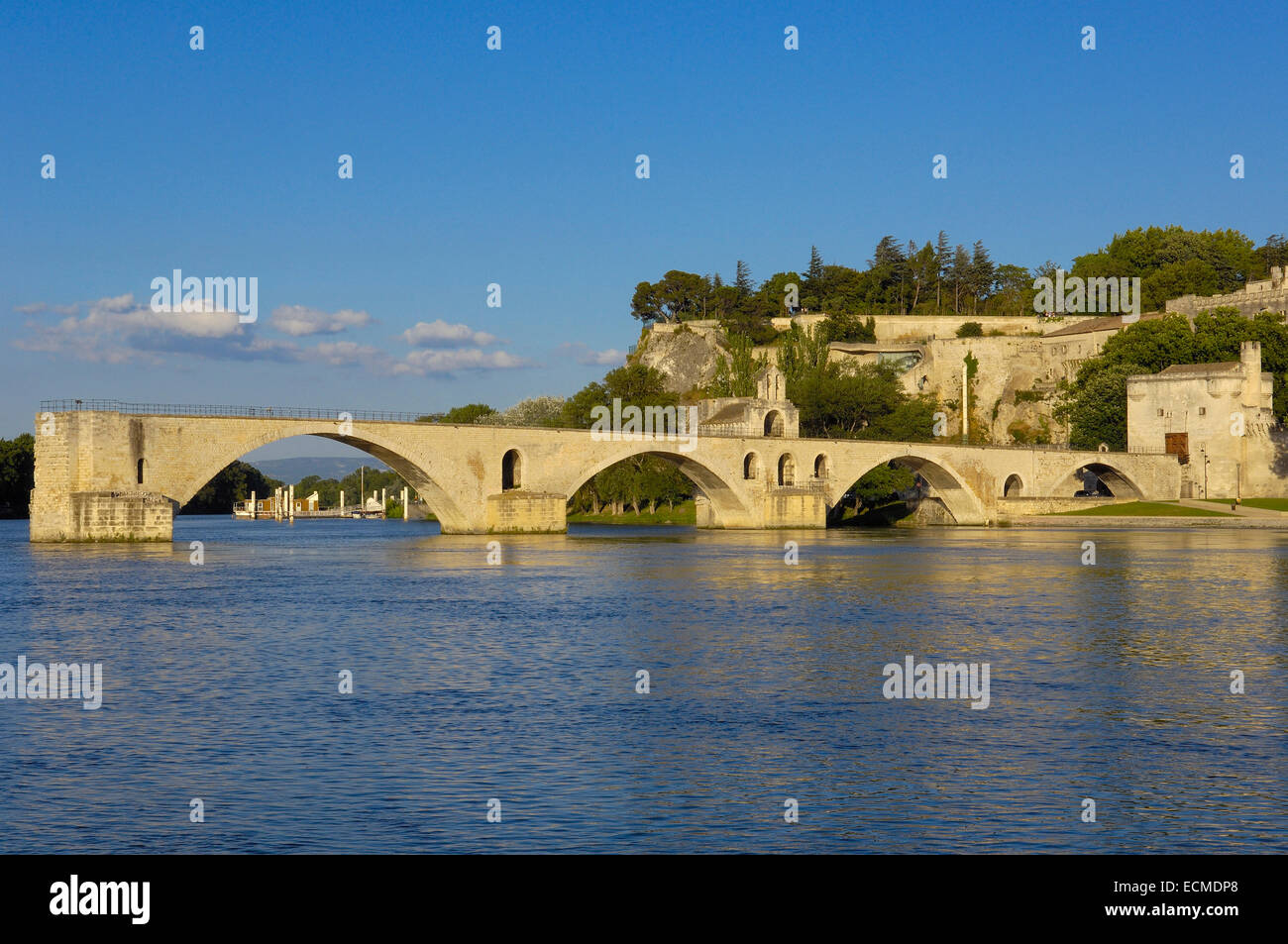 Saint-Benezet Brücke über die Rhône Fluß, Avignon, Vaucluse, Provence-Alpes-Côte d ' Azur, Rhône-Tal, Provence, Frankreich Stockfoto