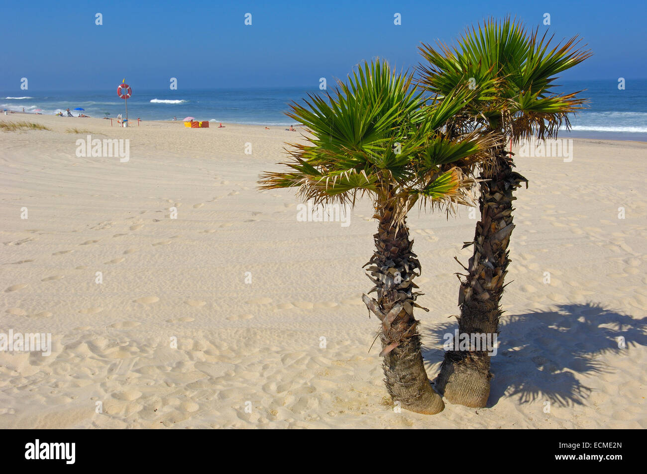 Costa Nova Strand, Aveiro, Beiras Region, Portugal, Europa Stockfoto