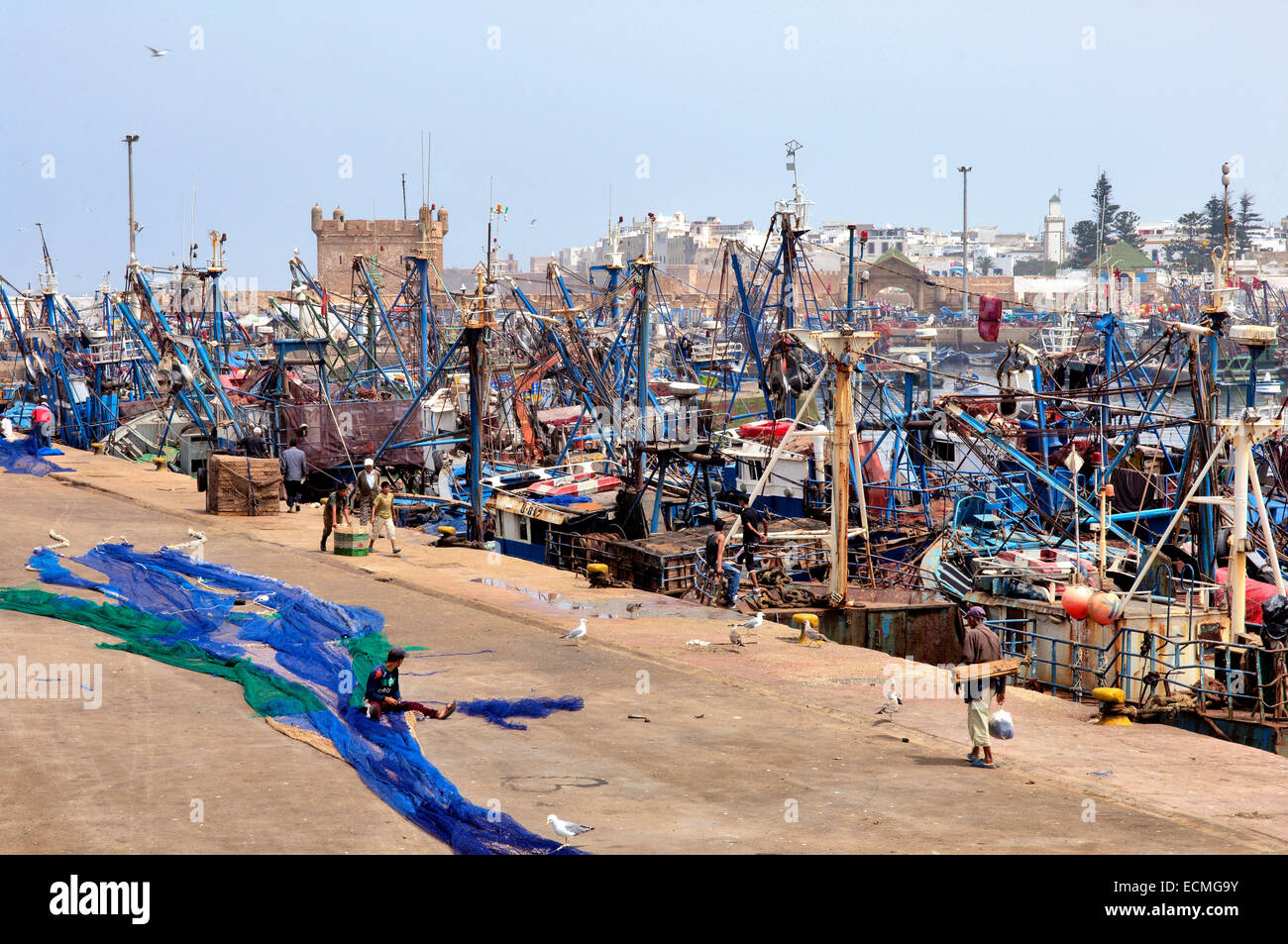 Hafen von Essaouira und Angelboote/Fischerboote, Marokko Stockfoto