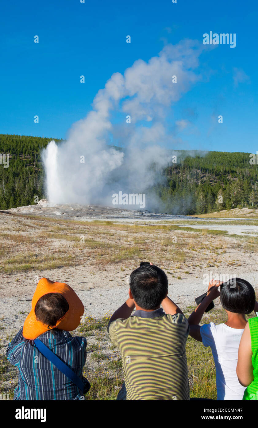 Yellowstone National Park Wyoming Old Faithful Geysir explodiert für Touristen Attraktion fotografieren Stockfoto