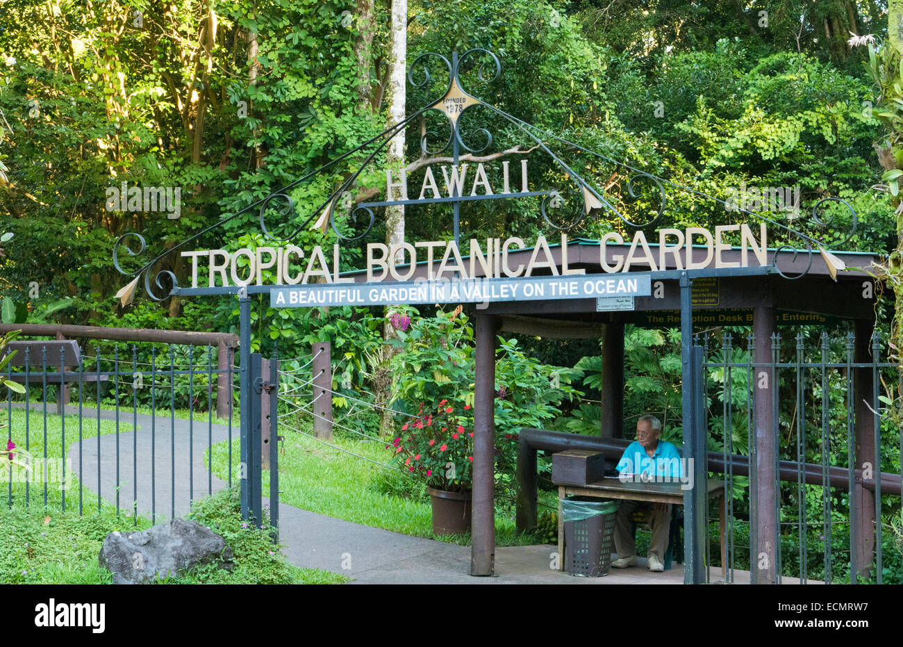 Hilo Hawaii Big Island Hawaii Tropical Botanical Garden Grun