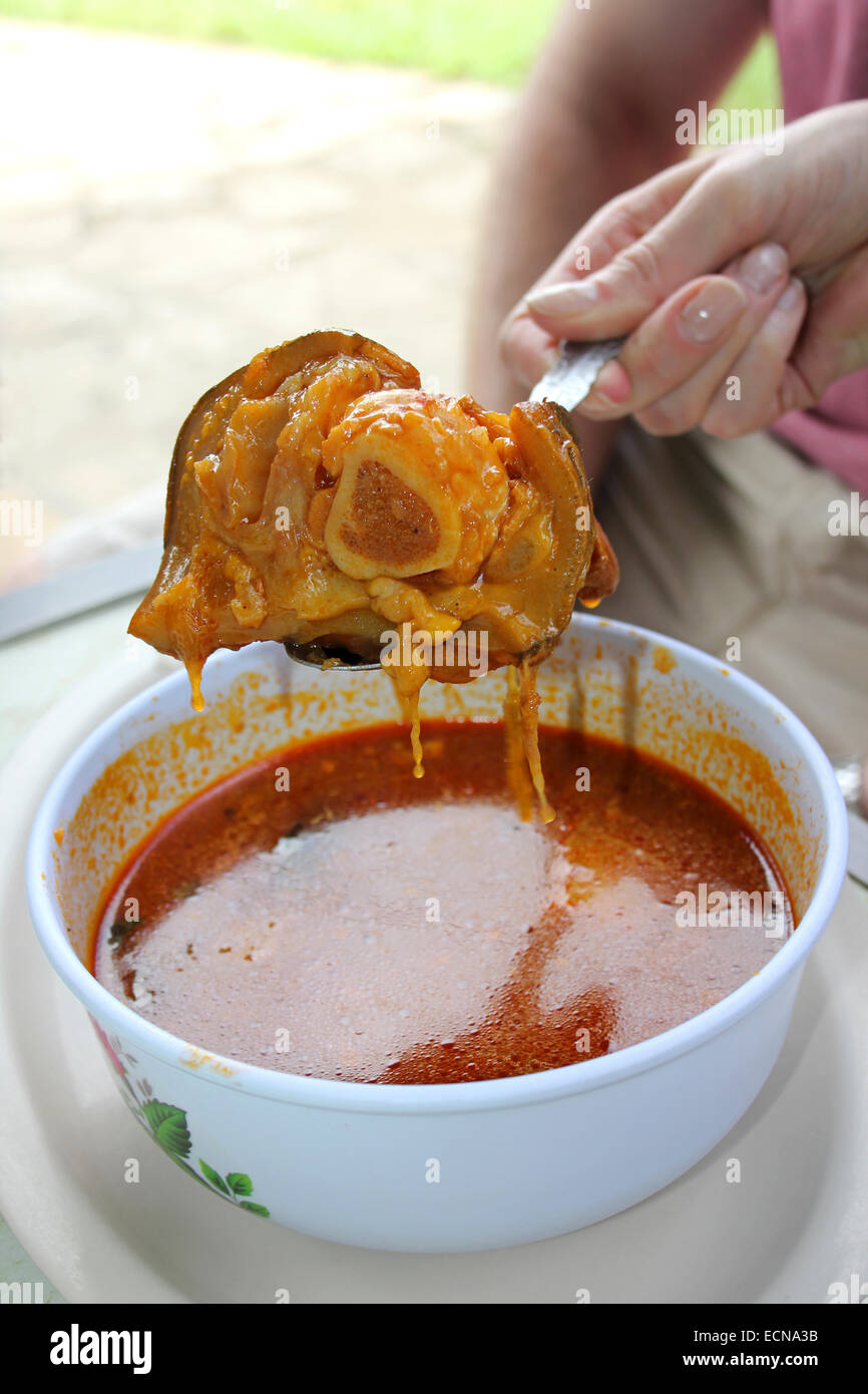 Kuh-Fuß-Suppe, eine Belize Delikatesse Stockfoto