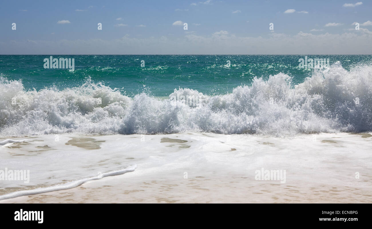 Lebhafte karibische Meer. Playa Los Cocos. Cayo Largo. Kuba. Stockfoto