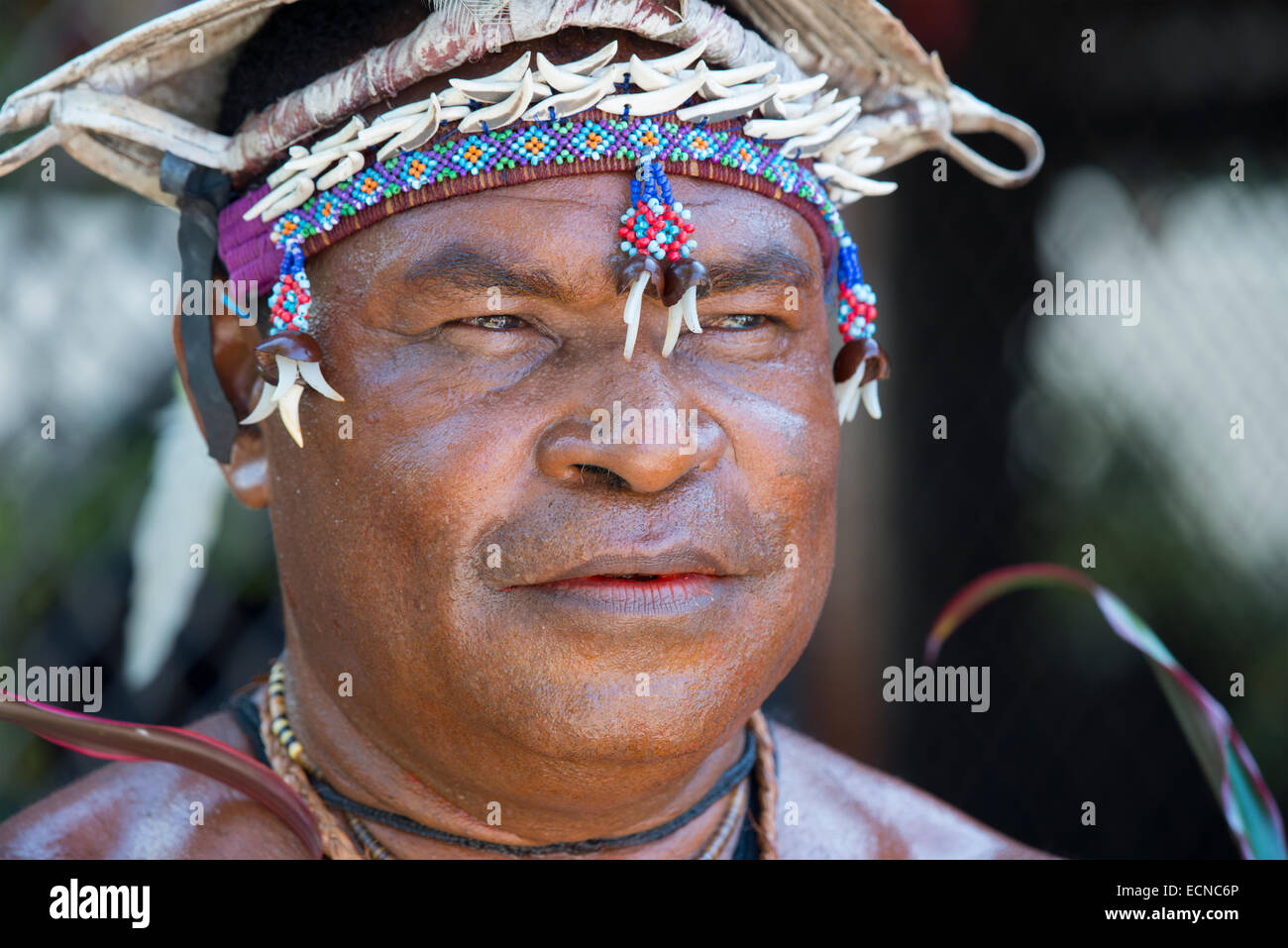 Melanesien, Papua-Neu-Guinea. Dorf von Vanimo. Traditionelle willkommen Sing-Sing mit Dorfbewohnern in native Kleidung. Dorf-Mann. Stockfoto