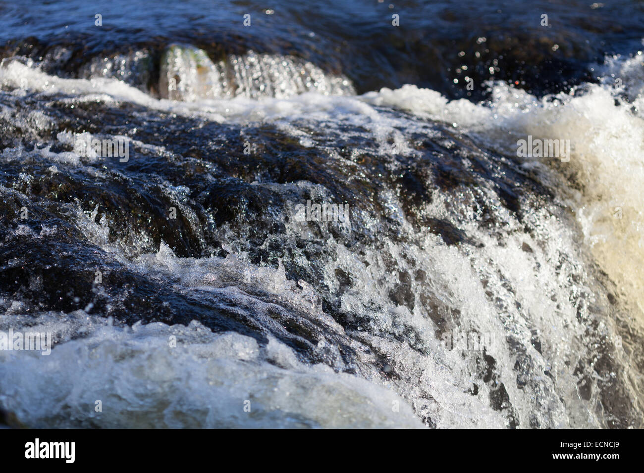 Nahaufnahme von der Wasserfall namens Cenarth verliebt sich in Ceredigion, Wales am Fluss Teifi. Stockfoto