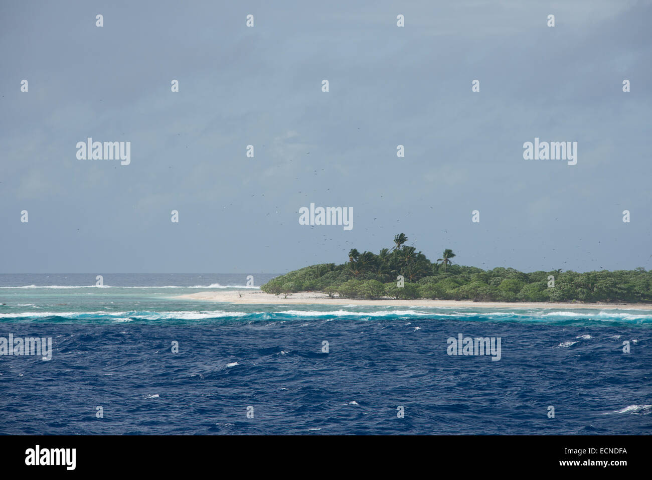 Westlichen Pazifischen Ozean, Föderierte Staaten von Mikronesien, Karolinen, Bundesstaat Yap. Winzigen abgelegenen Insel Gaferut. Stockfoto