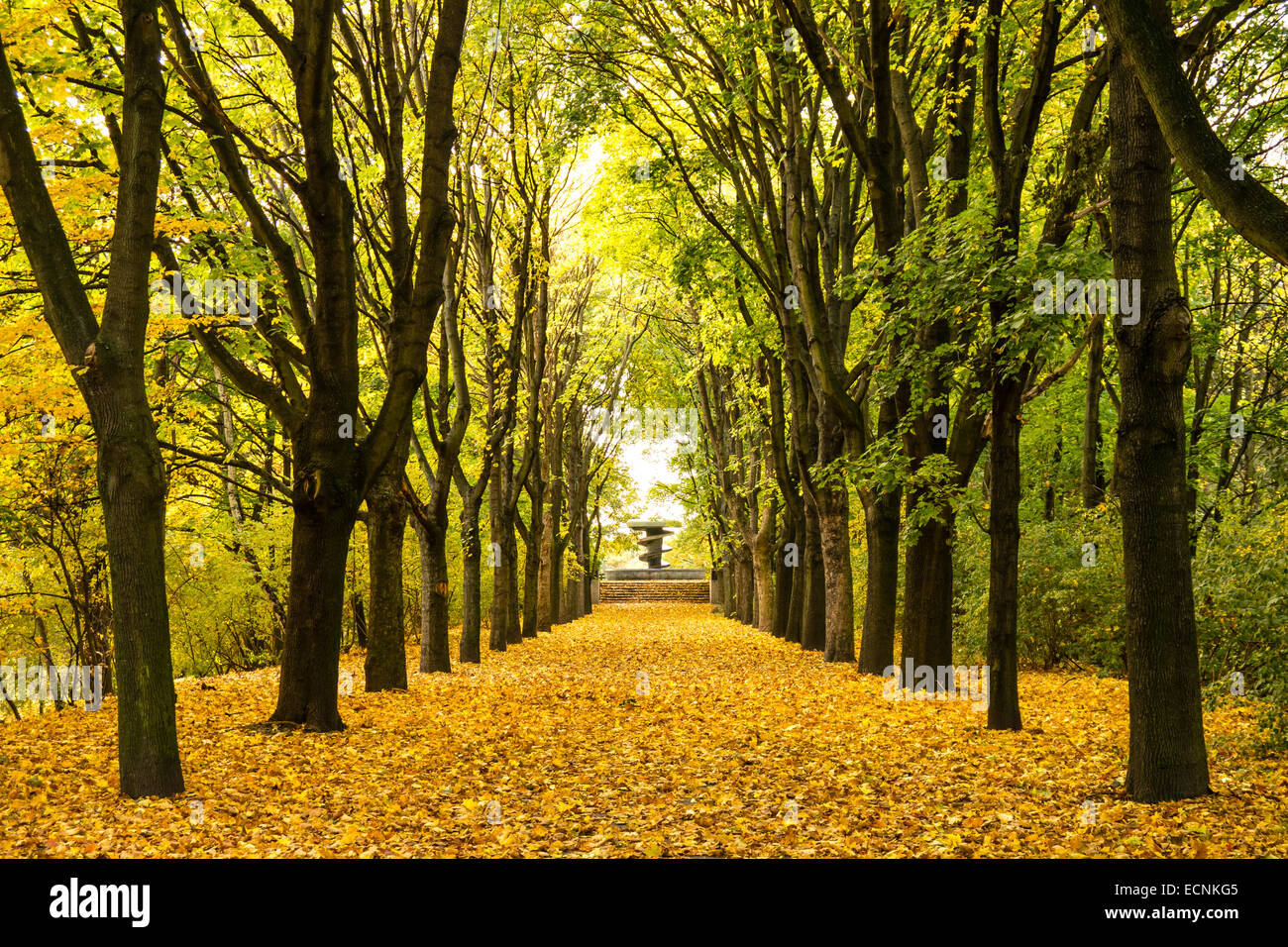 Gasse in einem Park im Frühherbst Stockfoto