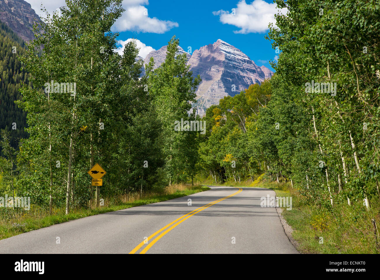 Maroon Creek Road im Bereich Maroon Bells von Aspen in den Rocky Mountains in Colorado Stockfoto