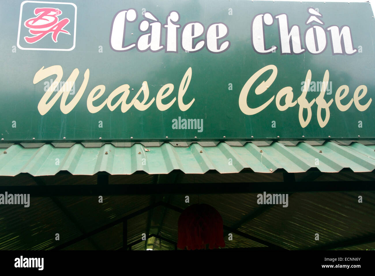 Wiesel-Coffee-Shop in Lam Dong Province, Vietnam. Stockfoto