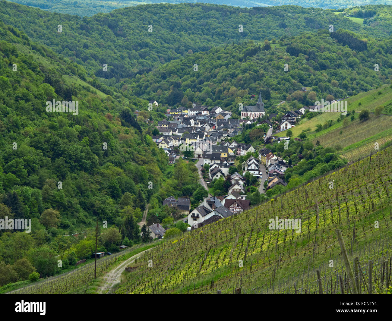 Dorf von Oberdiebach inmitten der Weinberge am westlichen Ufer des Rheins, oberhalb von Bacharach, Rheinschlucht, Deutschland Stockfoto