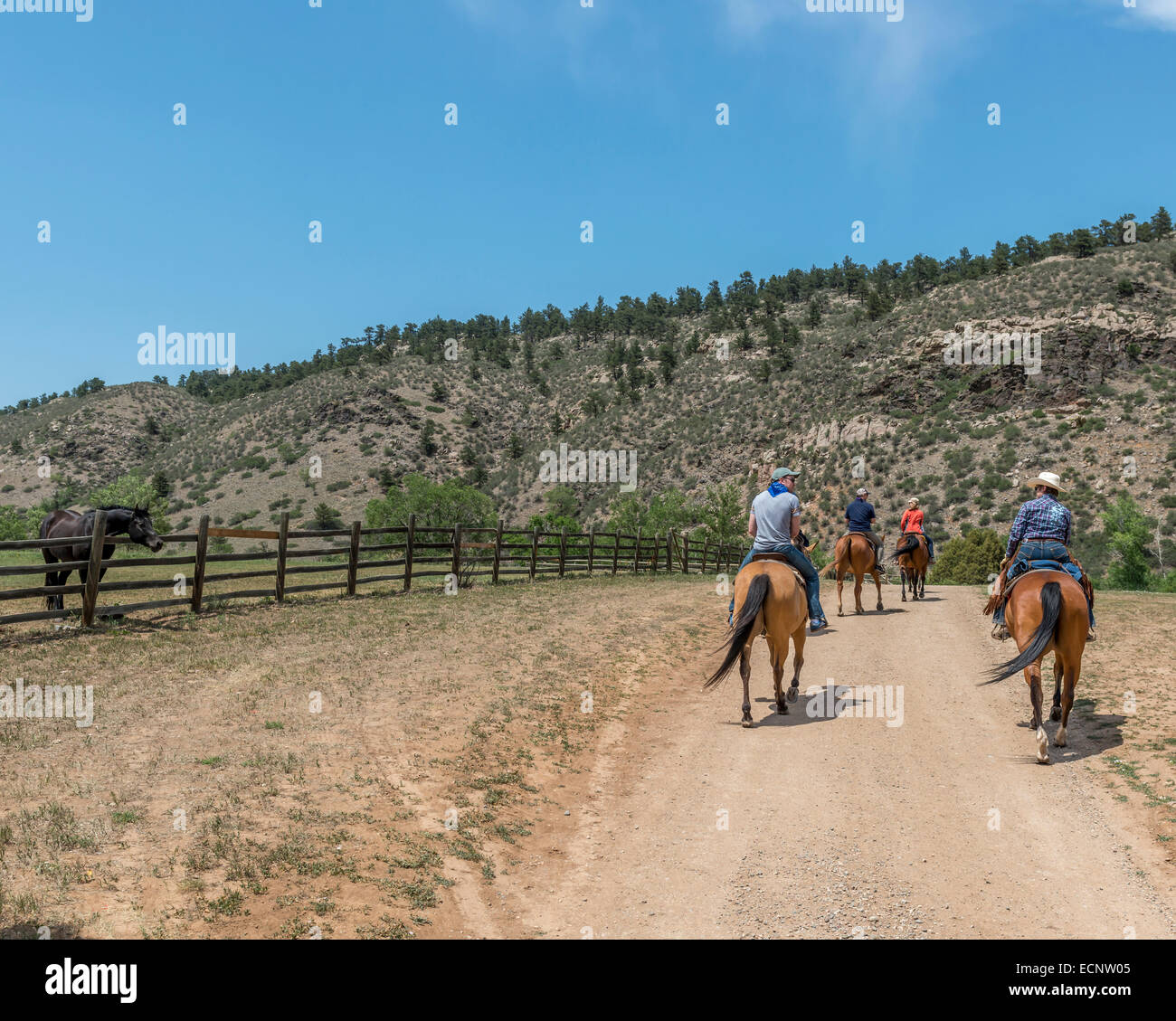 Reiten auf der Sylvan Dale Guest Ranch. Colorado. USA Stockfoto
