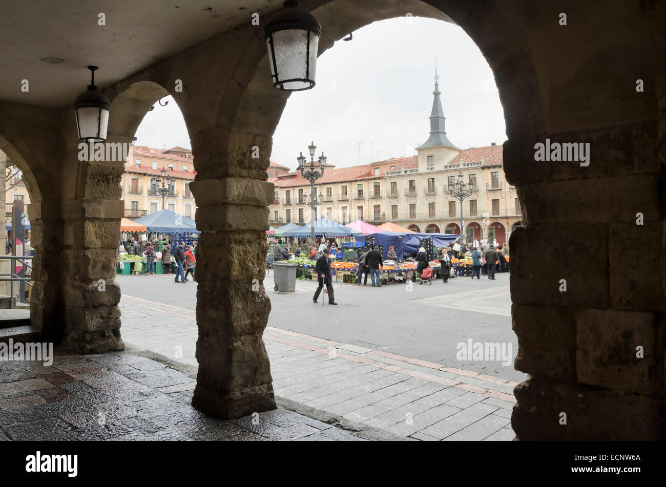 LEON, Spanien - 30. Januar 2013: Beliebte Markt von Obst und Gemüse auf dem Hauptplatz, am 30. Januar 2013 in Leon, Spanien Stockfoto