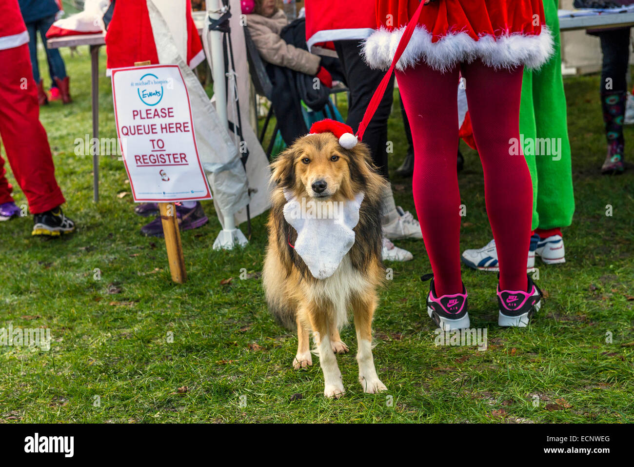 Christmas Santa Fun Run. Alexandra Park. Hastings. East Sussex. UK Stockfoto