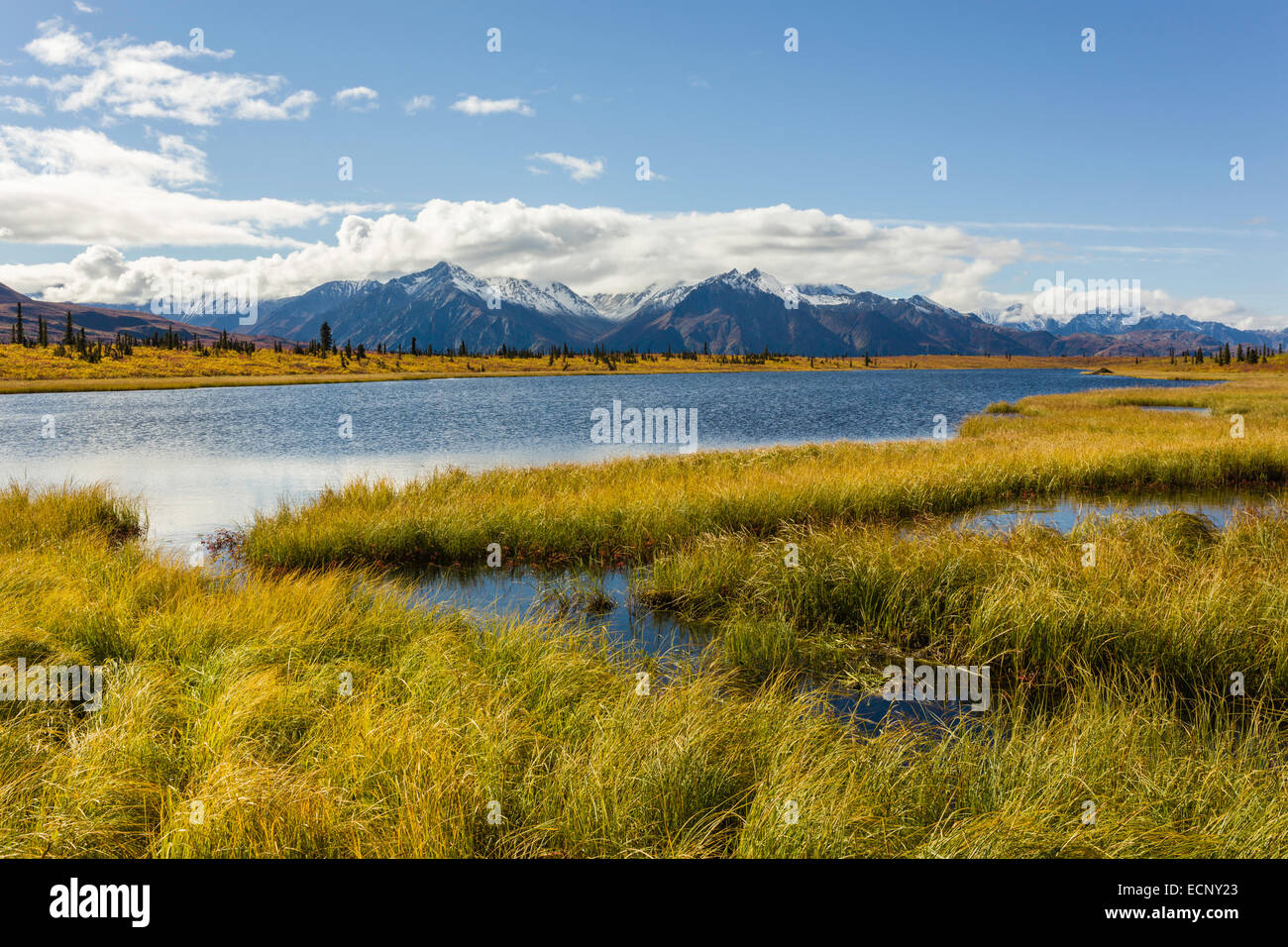 Malerische Aussicht auf Knob Lake und die Chugach Berge des Matanuska Valley in Yunan Alaska im Herbst. Stockfoto