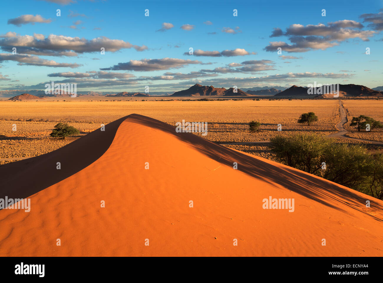 Namib-Wüste Stockfoto