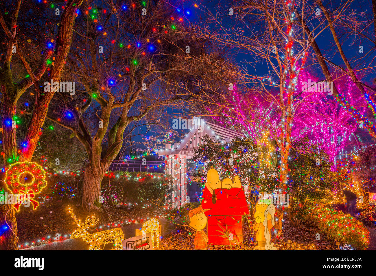 Christmas Light display, Park und Gärten Tilford, N. Vancouver, British Columbia, Kanada Stockfoto