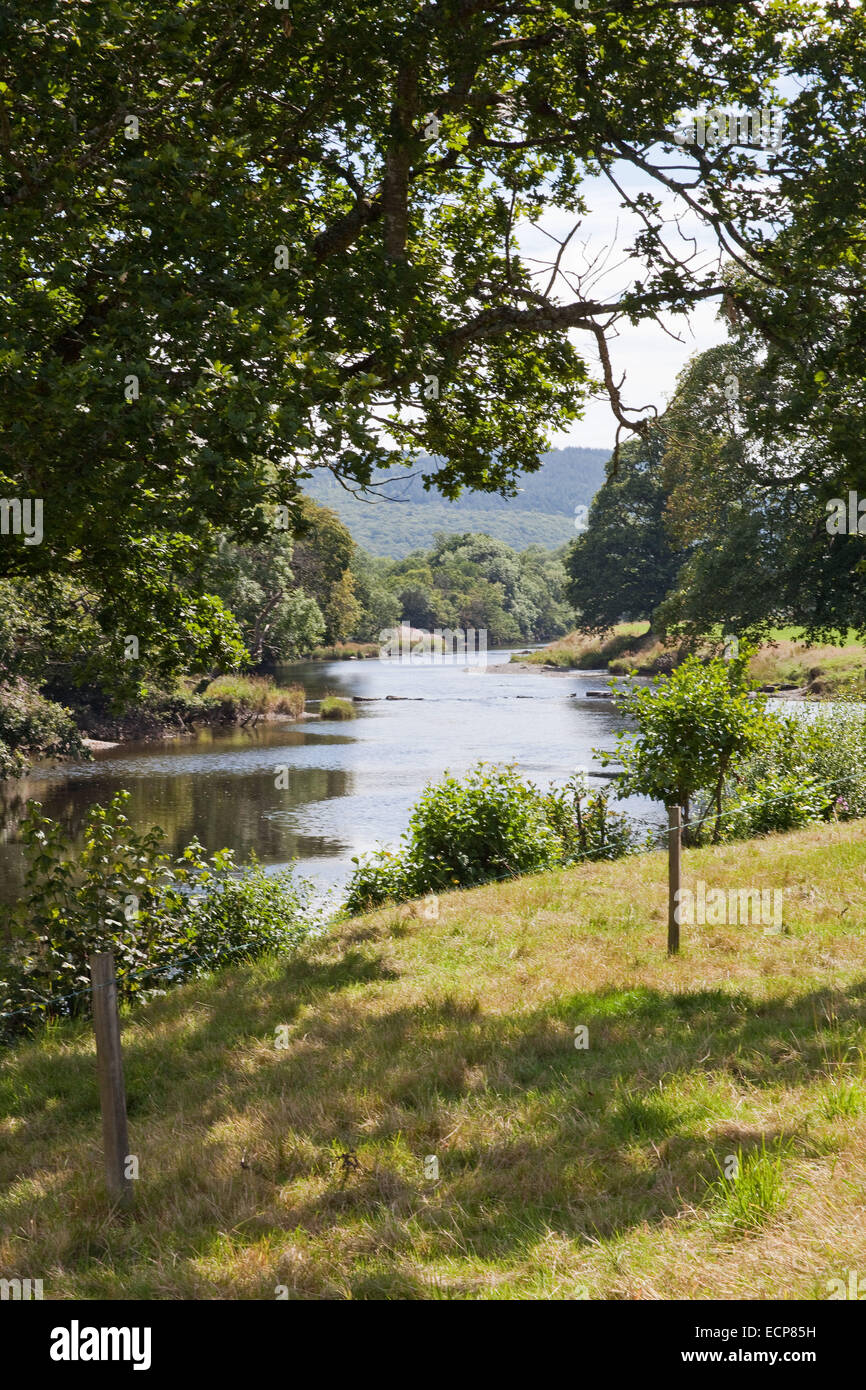 Der Fluss Conway, als es fließt durch das Conway-Tal, im Norden von Wales wie es schlängelt sich durch eines der schönsten landscap Stockfoto