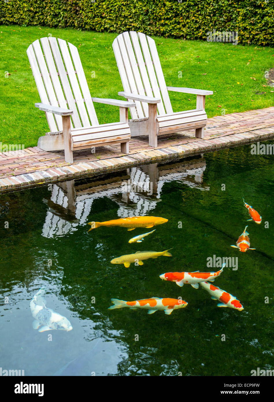 Koi karpfen im aquarium Fotos und Bildmaterial in hoher Auflösung Alamy