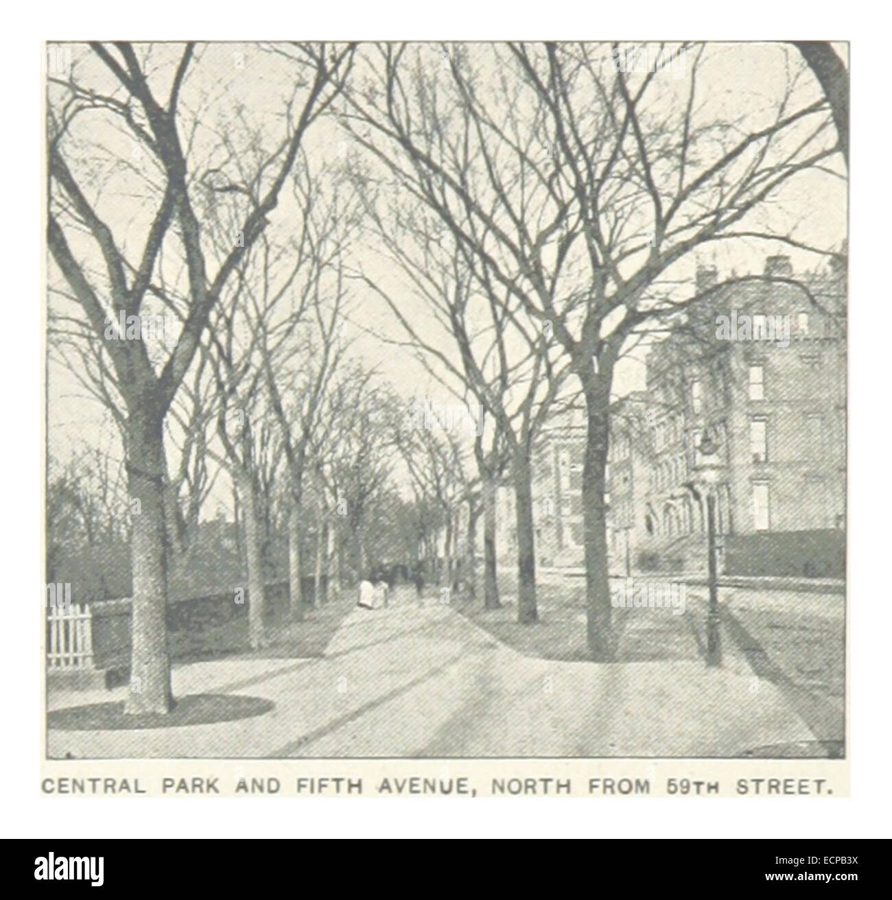 (King1893NYC) pg166 CENTRAL PARK und FIFTH AVENUE, im Norden von der 59TH STREET Stockfoto