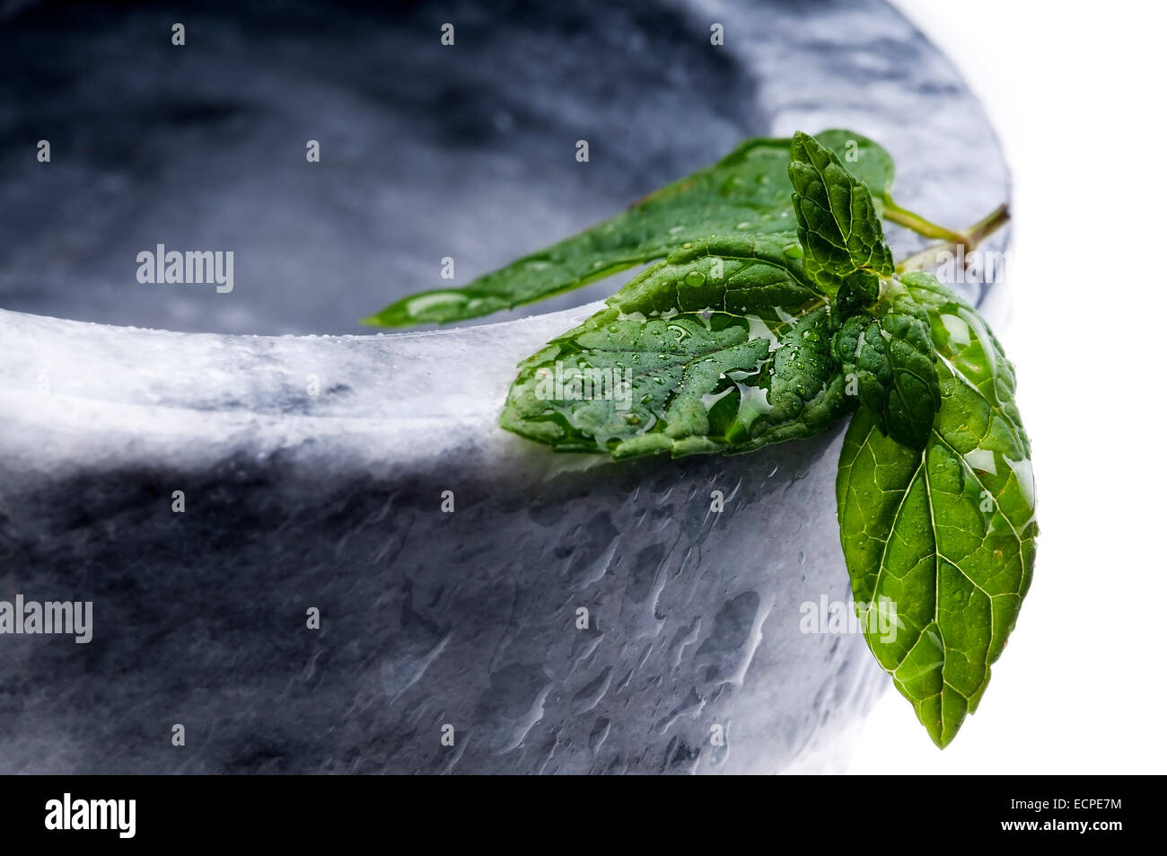 grüne Pfefferminze auf Marmormörser, nass mit Tau selektiven Fokus Stockfoto
