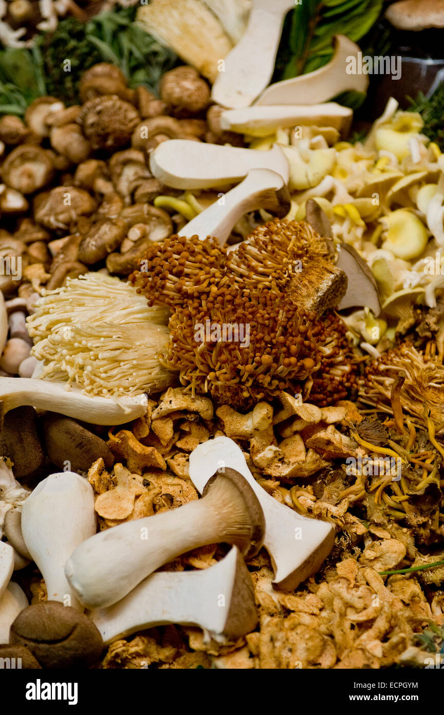Pilze und Pilze bei Trader im Borough Market, London. Stockfoto