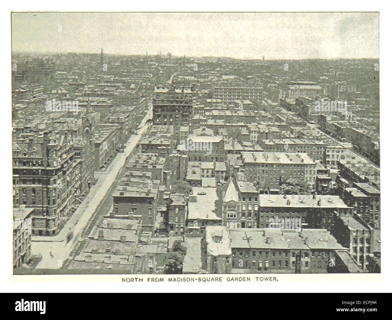 (King1893NYC) pg741 NORTH FROM MADISON SQUARE GARDEN TOWER Stockfoto