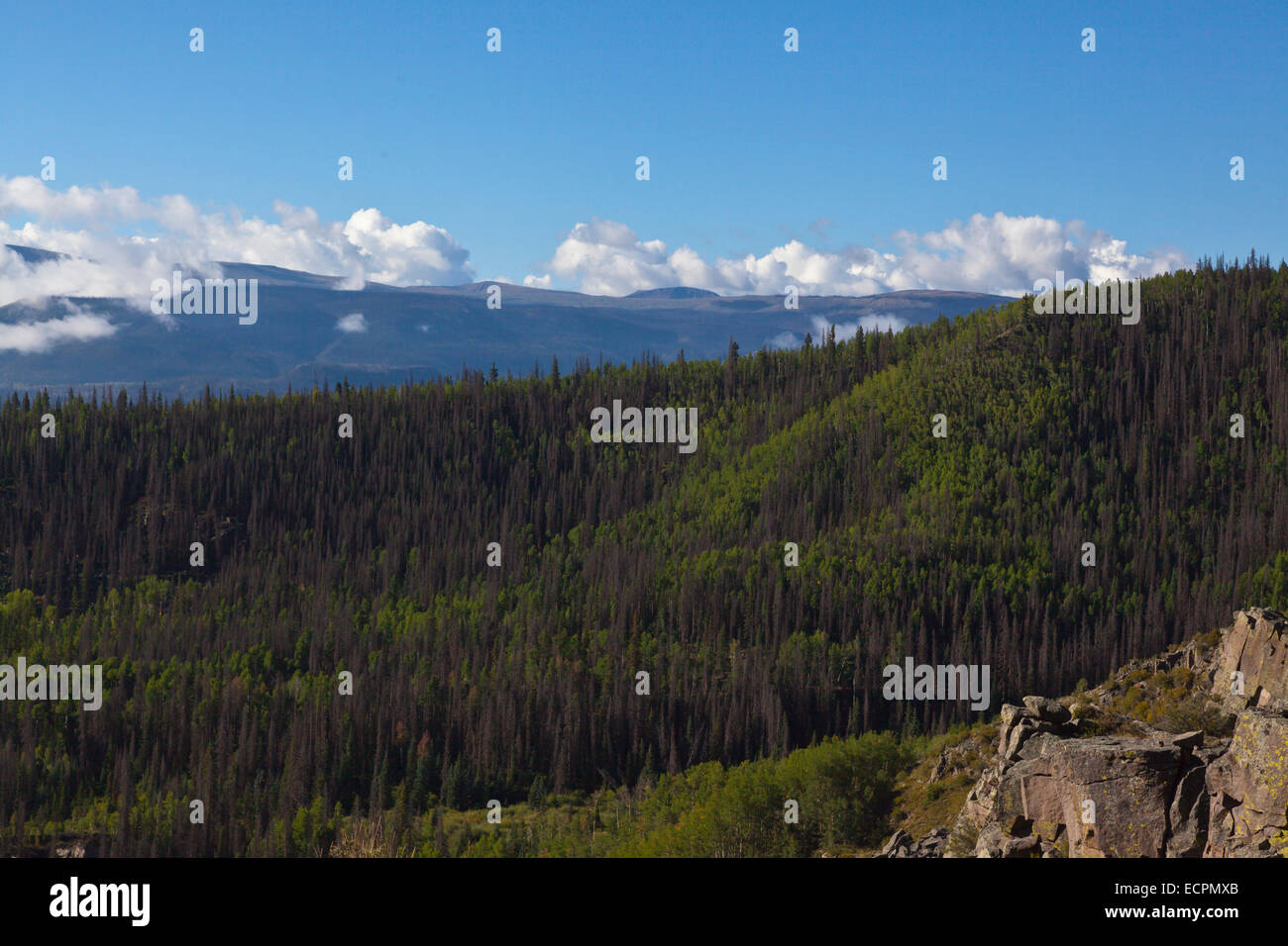 Blick vom CLEAR CREEK Schlucht und dem San-Juan-Gebirge - südlichen COLORADO Stockfoto