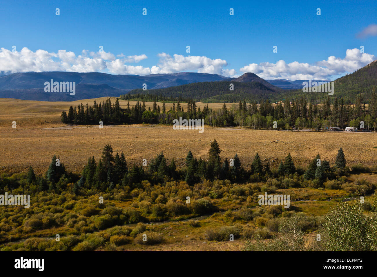 RIPARIAN AREA mit Weiden in der Nähe von den SAN JUAN MOUNTAINS im südlichen COLORADO Stockfoto