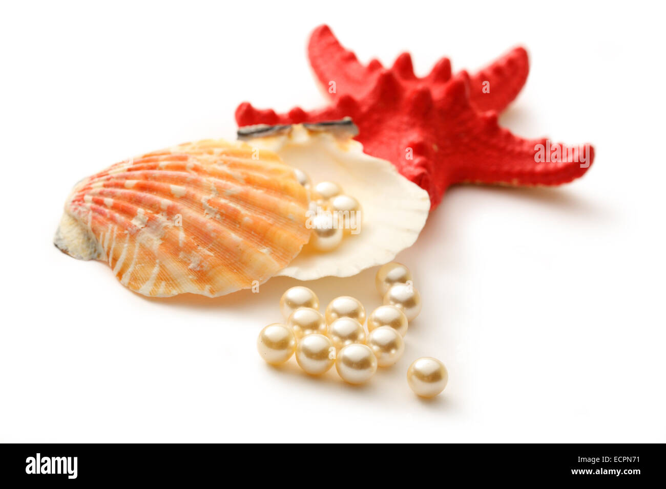 Weiße Perlen in der Muschel und Seastar Streuung Stockfoto