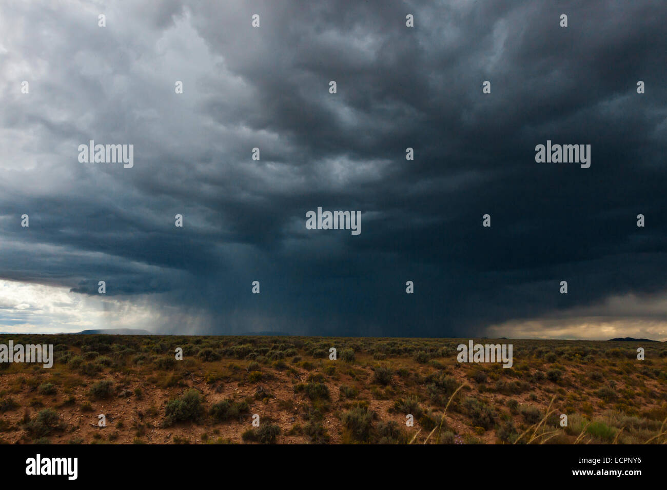 Regen Sturm in der Wüste - Süd, neu-Mexiko Stockfoto