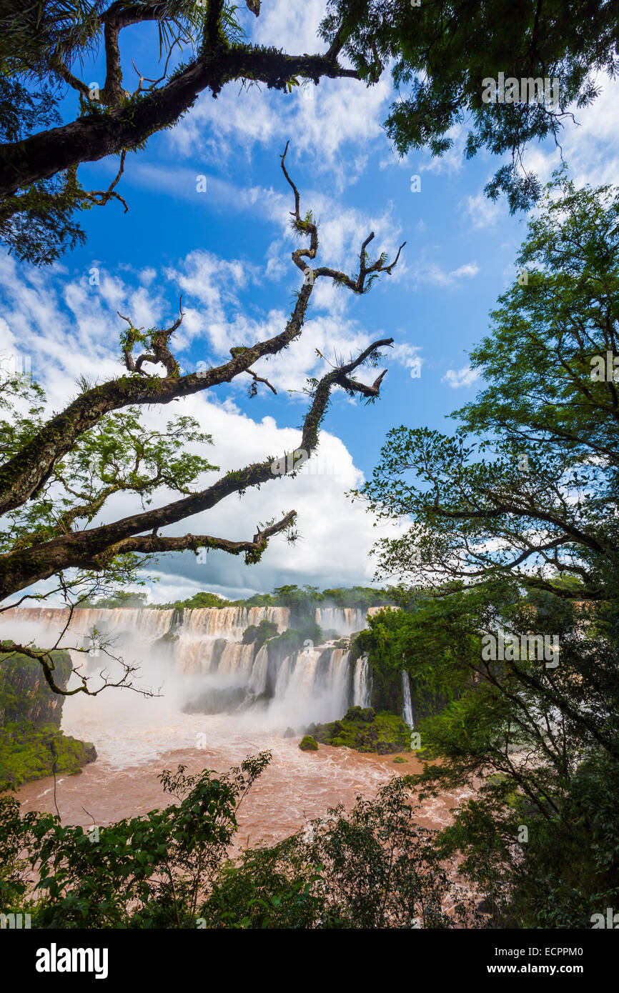 Iguazu Wasserfälle, Iguazú-Wasserfälle, Iguaçu-Wasserfälle oder Iguaçu-Wasserfällen sind Wasserfälle des Flusses Iguazu an der Grenze zwischen der argentinischen prov Stockfoto