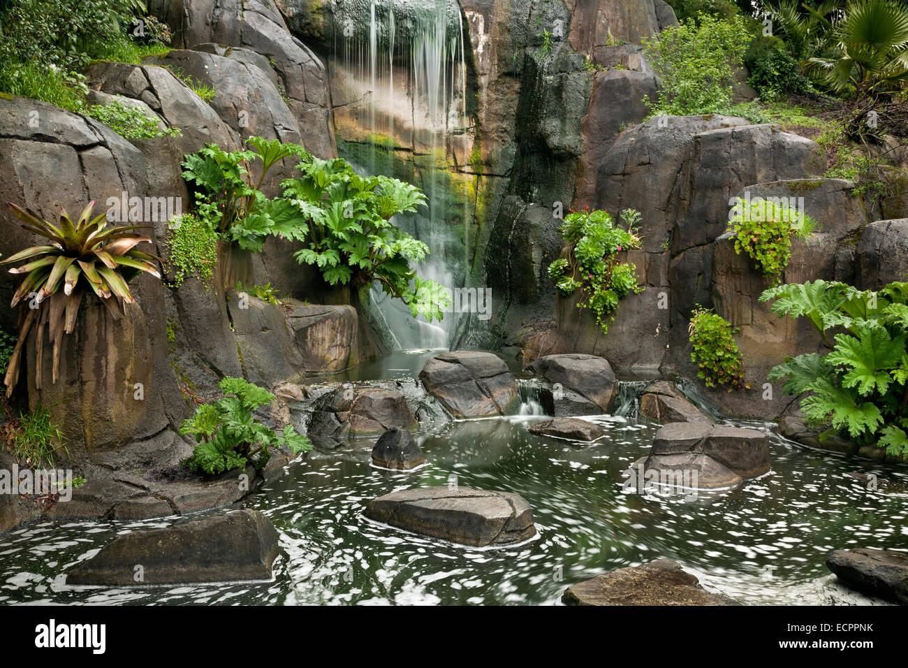 CA02542-00... CALIFORNIA-künstlichen Wasserfall am Fuße des Strawberry Hill in San Francisco Golden Gate Park. Stockfoto