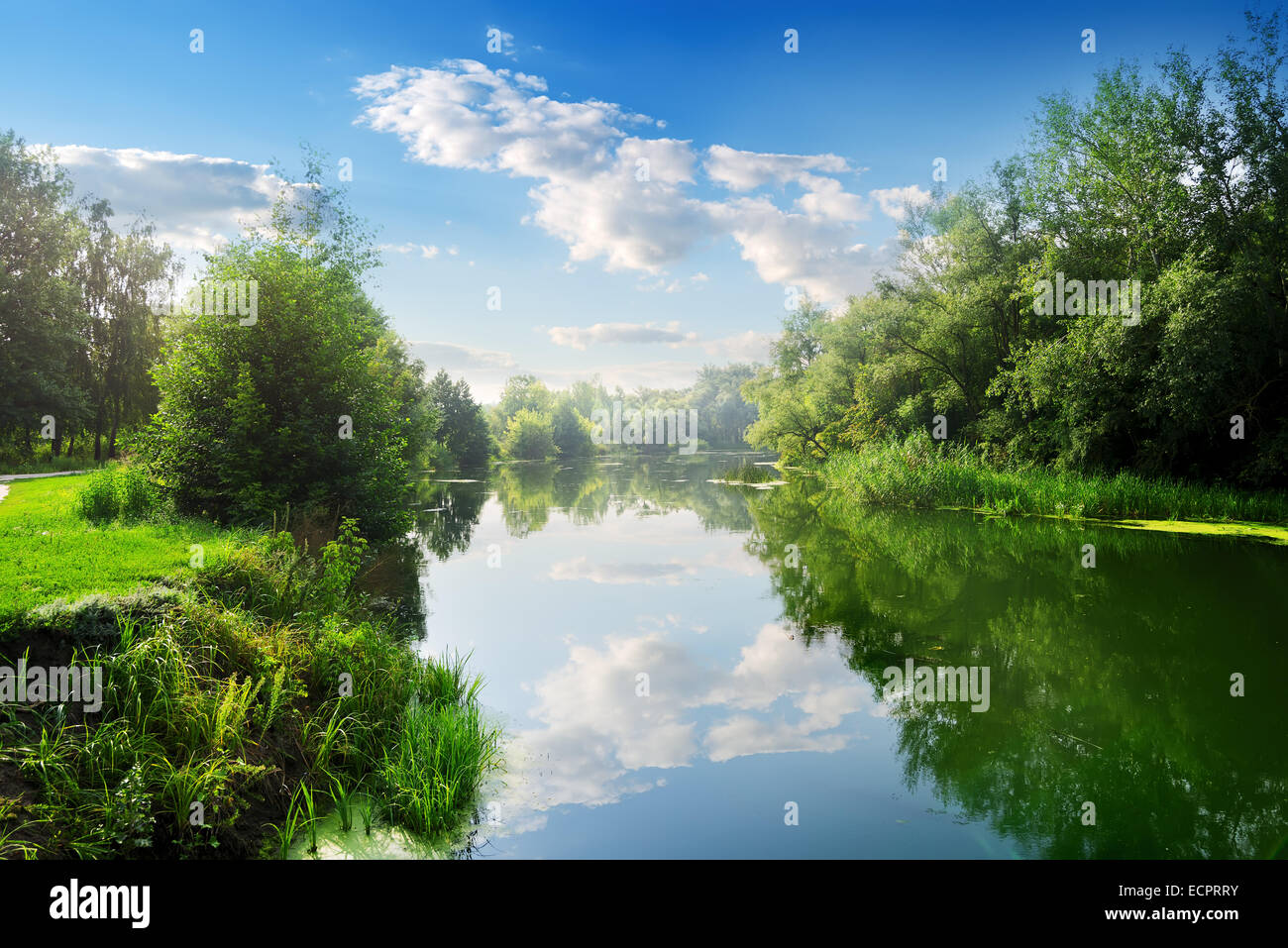 Schönen Fluss in den Sommertag Stockfoto