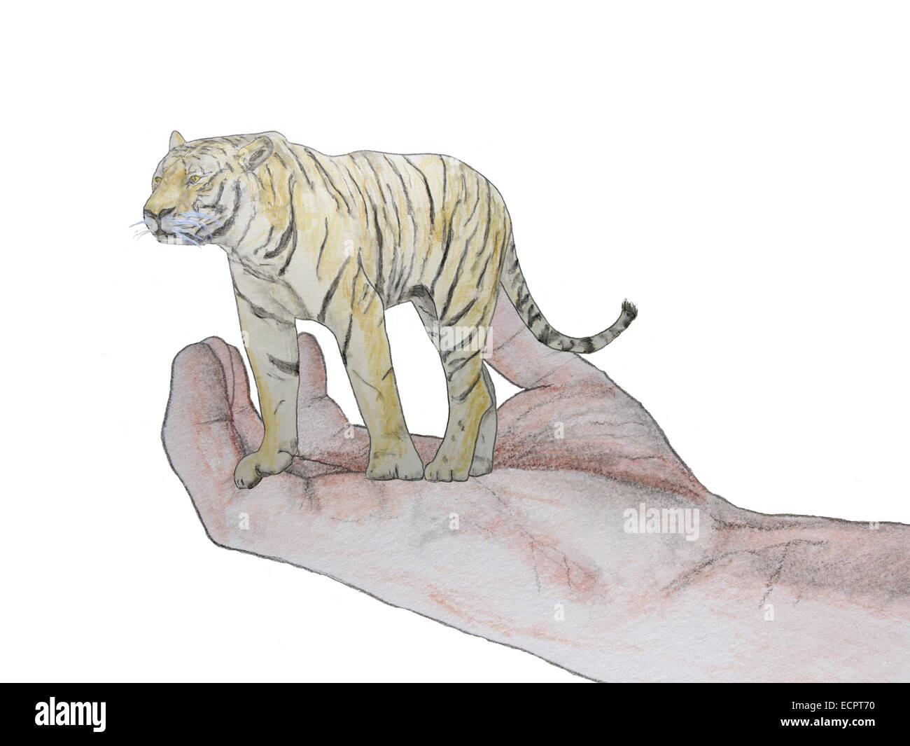 Die Zukunft der Tiger liegt in Menschenhand. Wir können sicher ihn oder Beseitigung dieser Art. In der Tat sollten wir sie schützen. Stockfoto