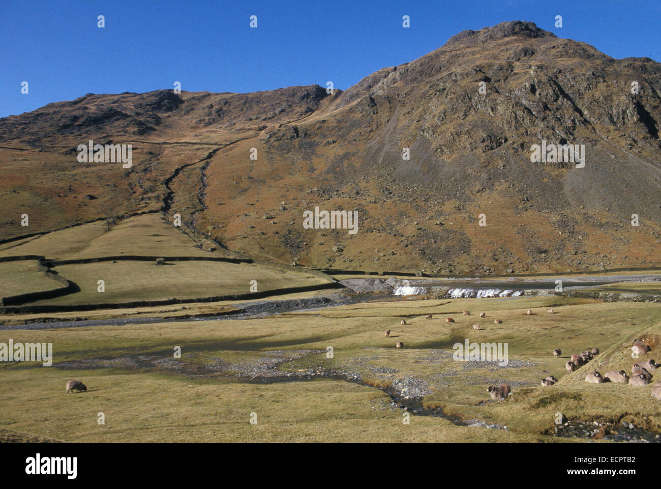 Fluss-Sprint und Wehr oberhalb Sadgill, Longsled Dale Cumbria Stockfoto