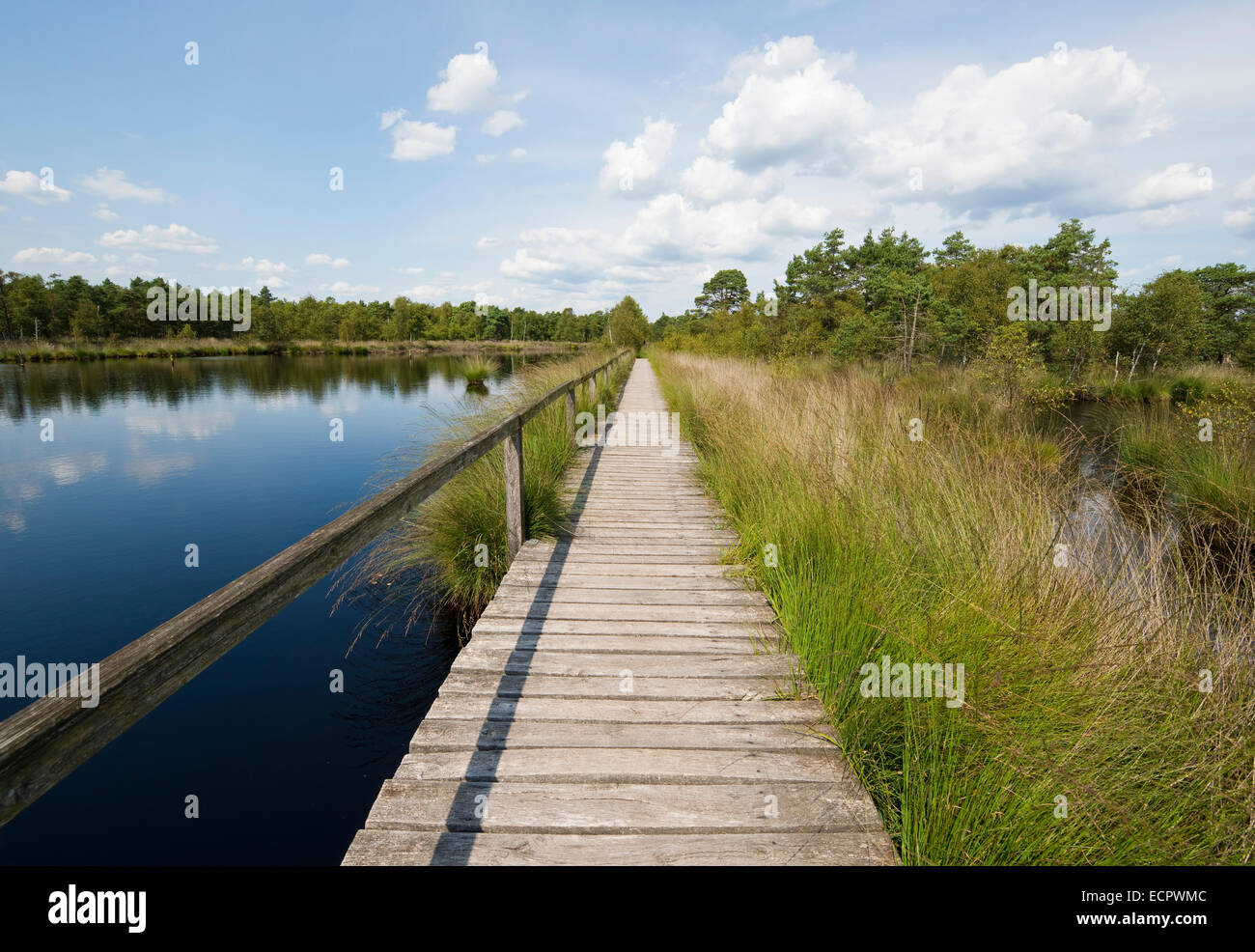 Promenade durch das Pietzmoor, Naturschutzgebiet Lüneburger Heide, Schneverdingen, Niedersachsen, Deutschland Stockfoto