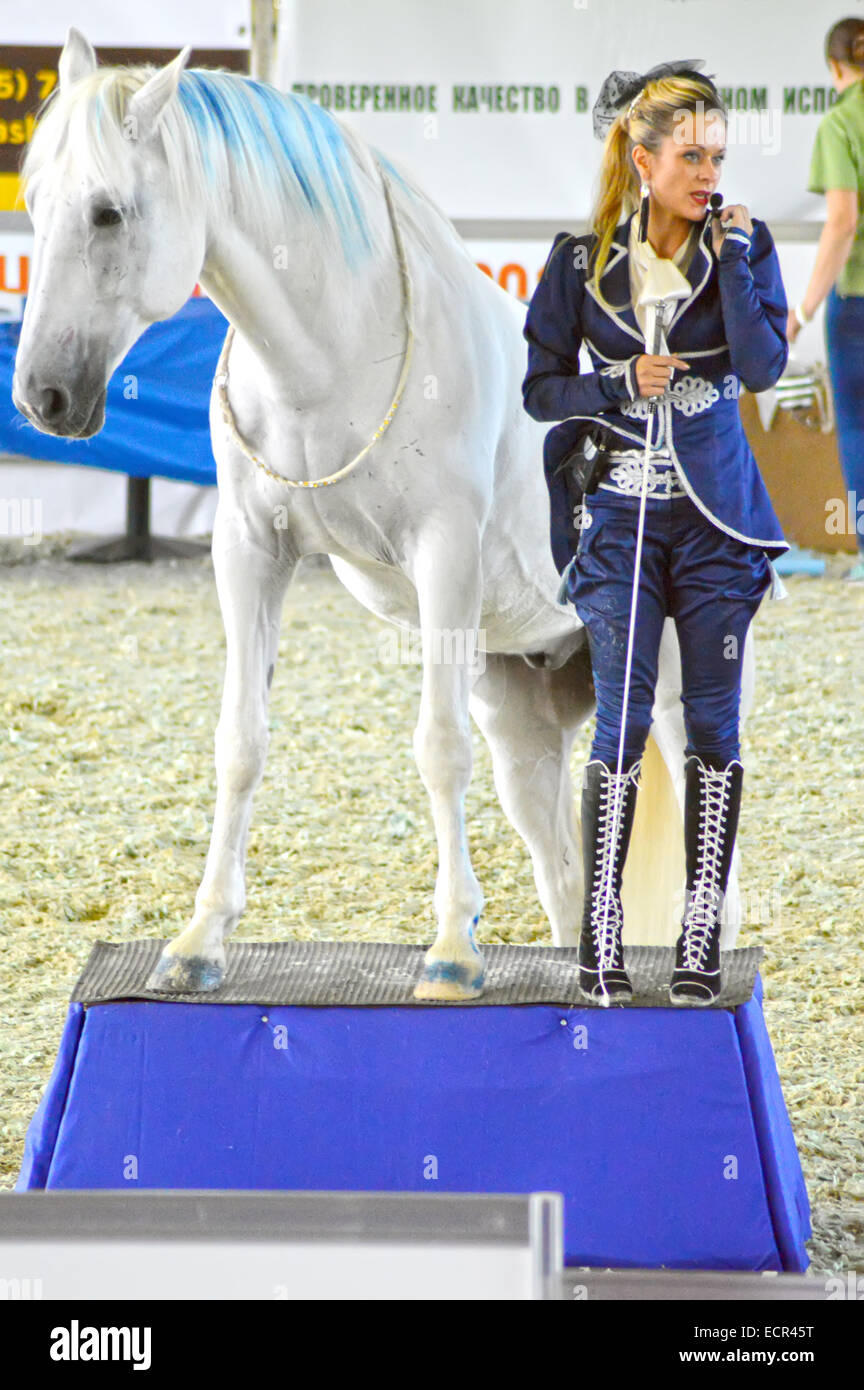 Frau Jockey in einem dunkel blauen Anzug in der Nähe eines Pferdes. Internationale Pferdeausstellung Stockfoto