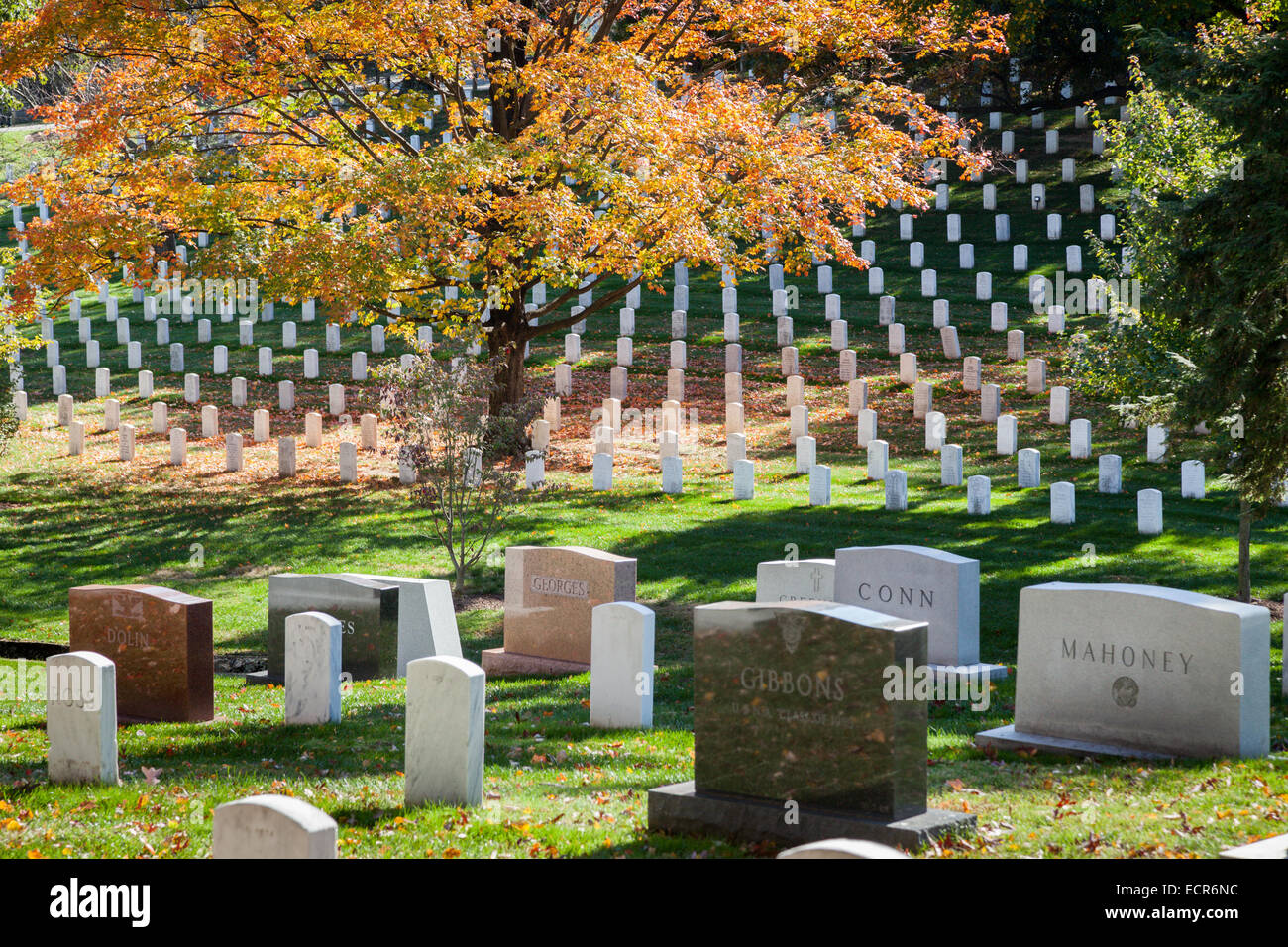 Arlington National Cemetery in Herbstlaub, Virginia Stockfoto