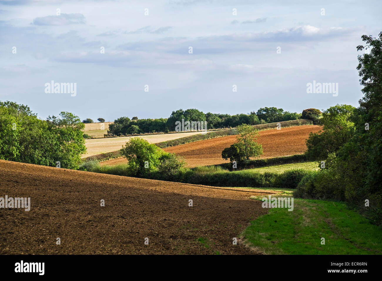 Hügelige Landschaft und Felder in den Cotswolds oberen Rissington Gloucestershire England Stockfoto