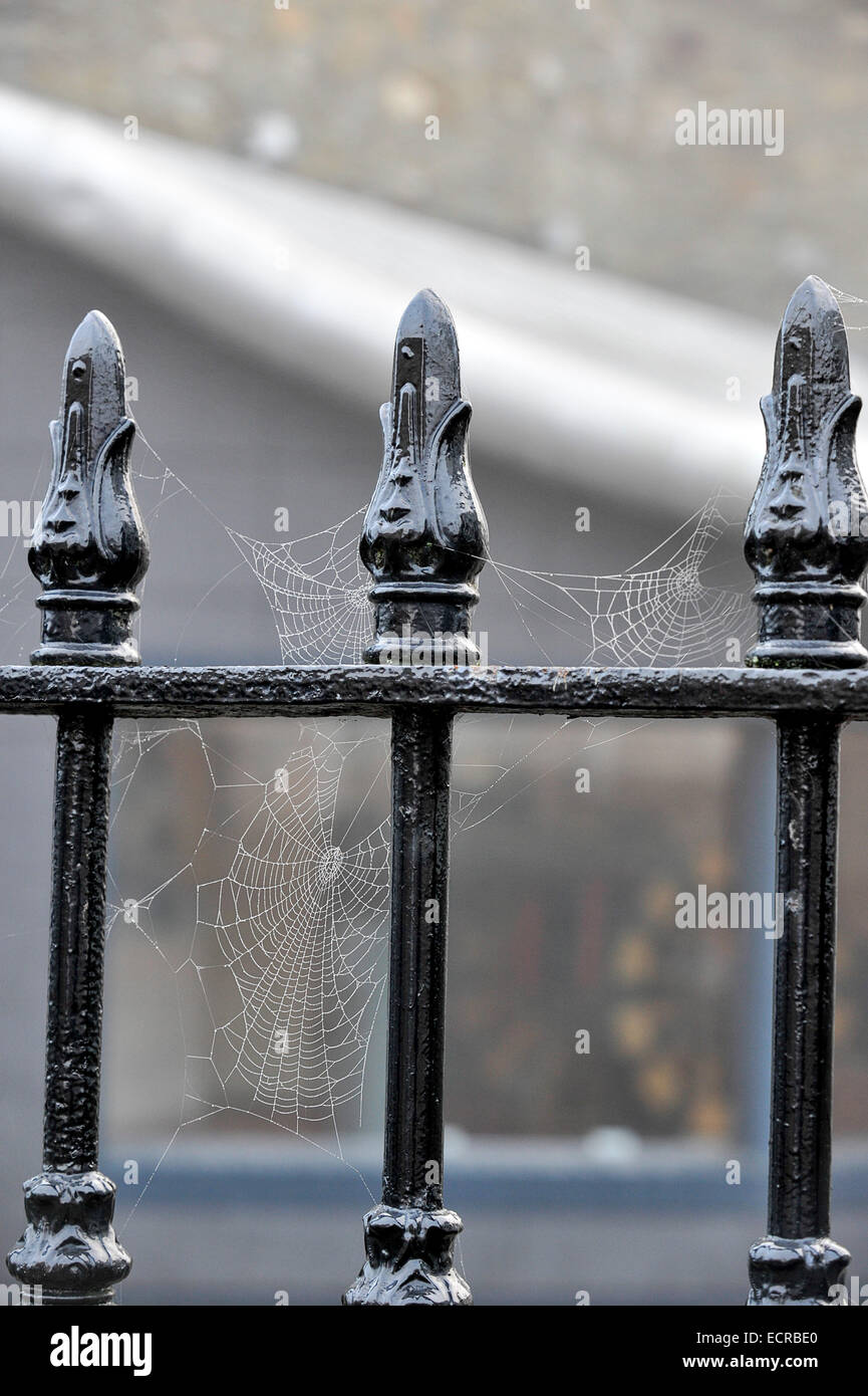 Spinnennetz auf gusseisernen Geländer.  Foto © George Sweeney/Alamy Stockfoto