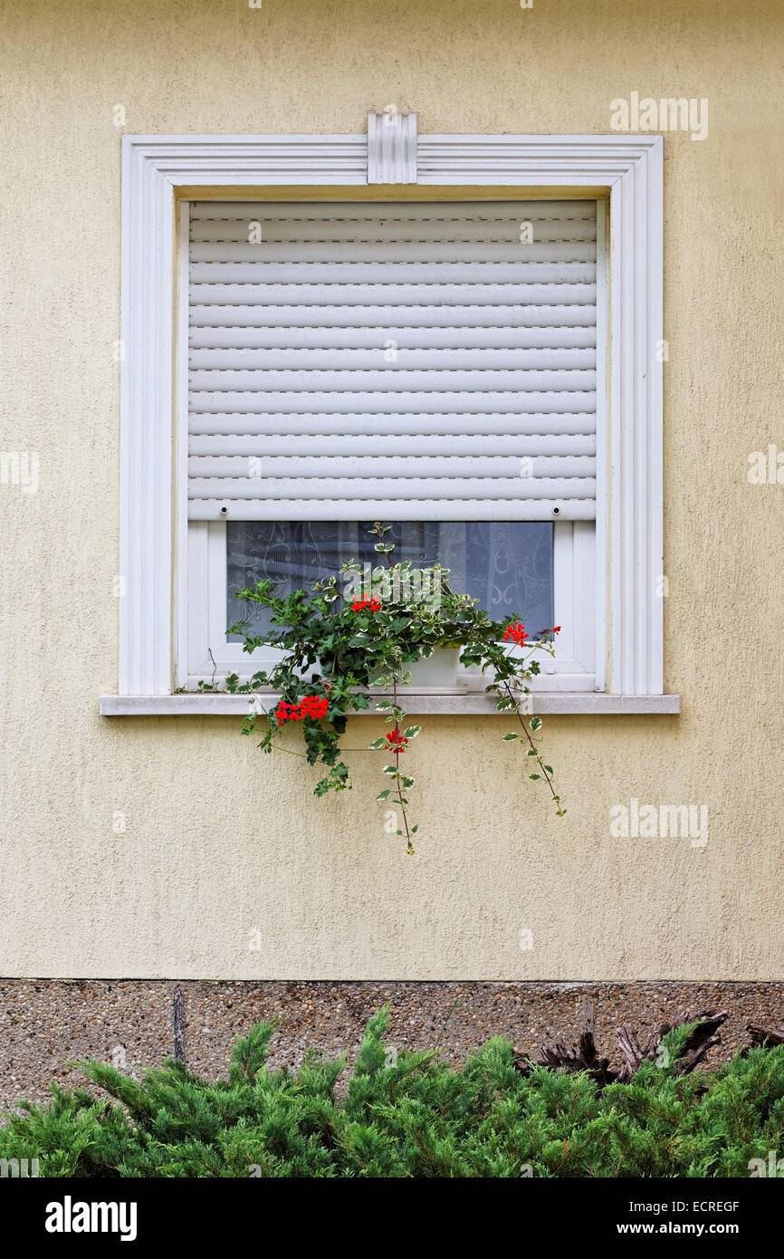 Fenster Stockfoto