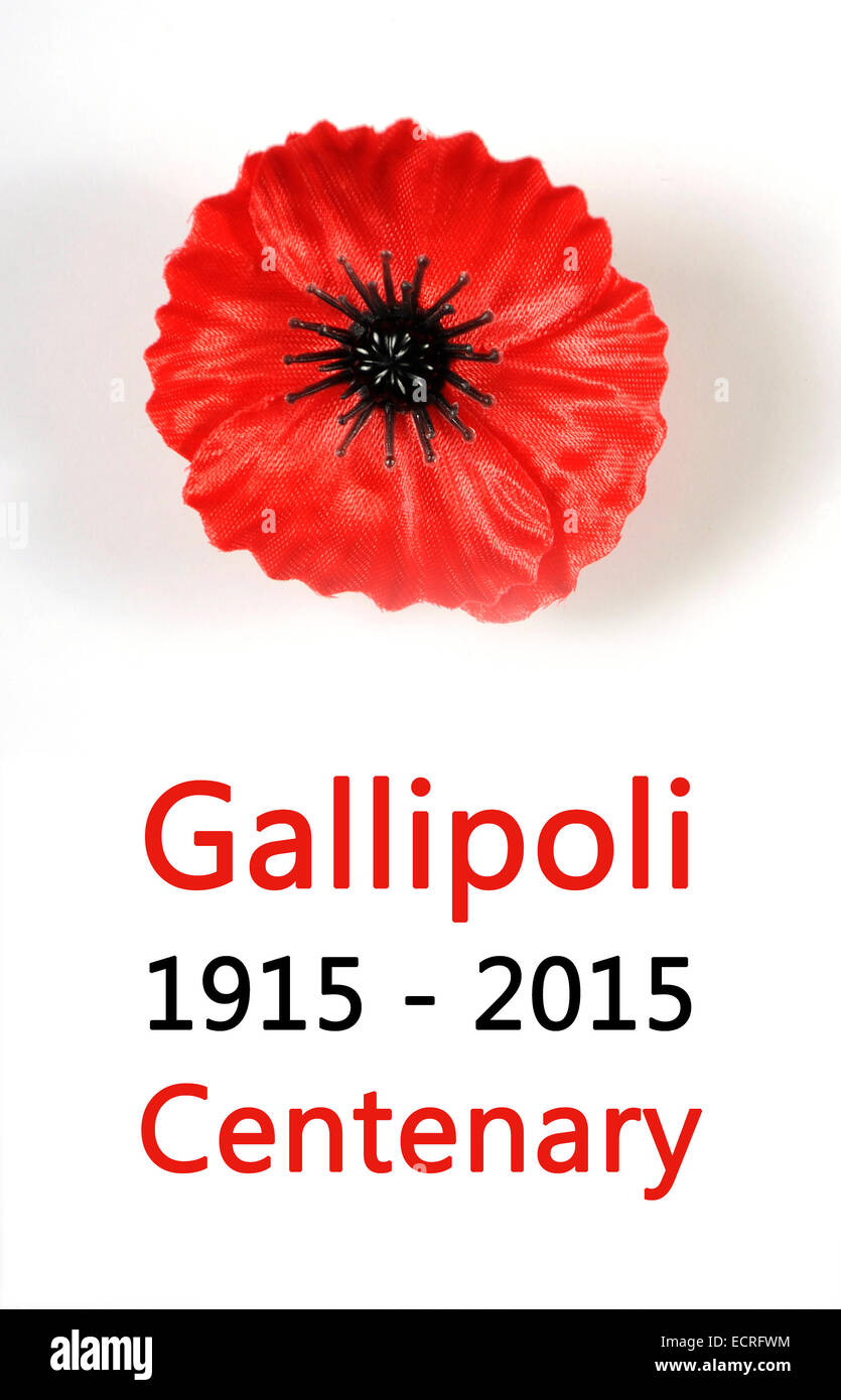 Australische Gallipoli Hundertjahrfeier, WWI, April 1915 Tribut mit roten Mohn Revers Pin Abzeichen auf weißem Hintergrund mit Beispieltext. Stockfoto