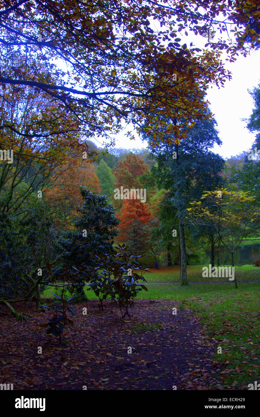 Bäume wie Acers, Buche, Tulpenbaum, Eichen, Kastanien; gelegentliche Brillanz wie Blätter färben sich weich, gedämpften Farben des Herbstes Stockfoto