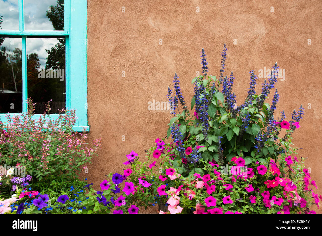 Blumen vor Abobe Haus Stockfoto